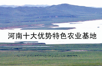 8月19日，河南省政府發(fā)布了關(guān)于深入推進(jìn)農業(yè)供給側結構性改革 大力發(fā)展優(yōu)勢特色農業(yè)的意見(jiàn)