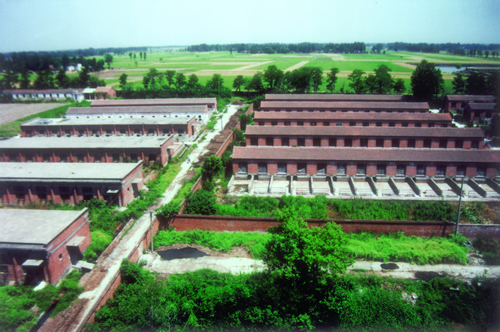 2020年河南省省級現代農業(yè)產(chǎn)業(yè)園創(chuàng  )建名單